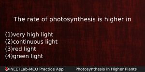 The Rate Of Photosynthesis Is Higher In Biology Question