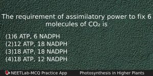 The Requirement Of Assimilatory Power To Fix 6 Molecules Of Biology Question