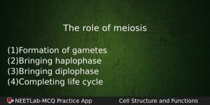 The Role Of Meiosis Biology Question