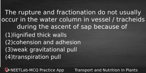 The Rupture And Fractionation Do Not Usually Occur In The Biology Question