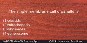 The Single Membrane Cell Organelle Is Biology Question