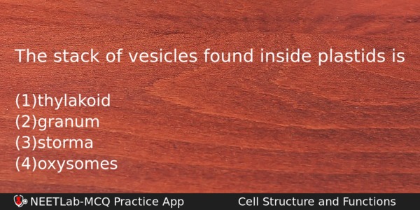 The Stack Of Vesicles Found Inside Plastids Is Biology Question 