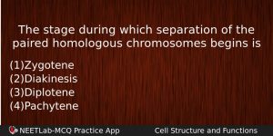 The Stage During Which Separation Of The Paired Homologous Chromosomes Biology Question