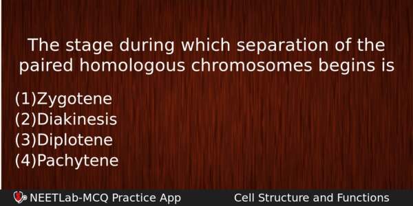 The Stage During Which Separation Of The Paired Homologous Chromosomes Biology Question 