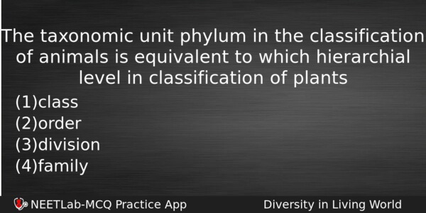The Taxonomic Unit Phylum In The Classification Of Animals Is Biology Question 