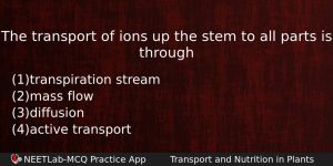 The Transport Of Ions Up The Stem To All Parts Biology Question