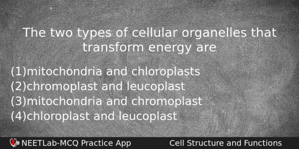 The Two Types Of Cellular Organelles That Transform Energy Are Biology Question 