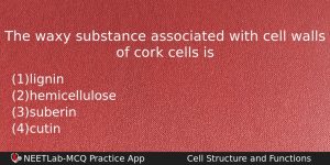 The Waxy Substance Associated With Cell Walls Of Cork Cells Biology Question