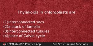 Thylakoids In Chloroplasts Are Biology Question