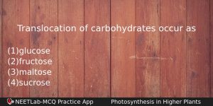 Translocation Of Carbohydrates Occur As Biology Question