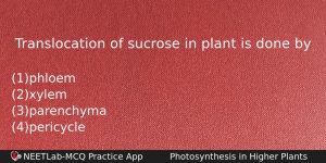 Translocation Of Sucrose In Plant Is Done By Biology Question