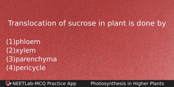 Translocation Of Sucrose In Plant Is Done By Biology Question 