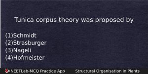 Tunica Corpus Theory Was Proposed By Biology Question