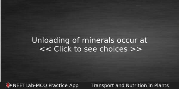 Unloading Of Minerals Occur At Biology Question 