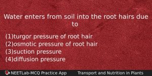 Water Enters From Soil Into The Root Hairs Due To Biology Question