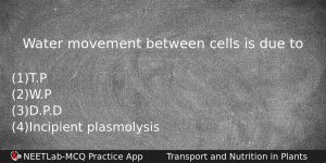 Water Movement Between Cells Is Due To Biology Question