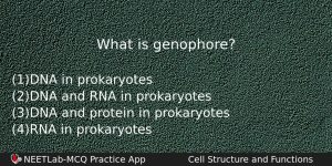 What Is Genophore Biology Question