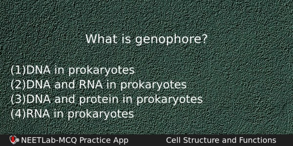 What Is Genophore Biology Question 