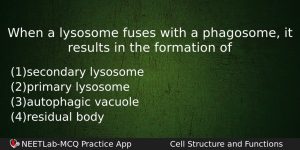 When A Lysosome Fuses With A Phagosome It Results In Biology Question
