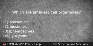 Which Are Smallest Cell Organelles Biology Question