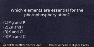 Which Elements Are Essential For The Photophosphorylation Biology Question