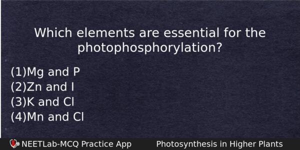 Which Elements Are Essential For The Photophosphorylation Biology Question 