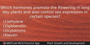Which Hormones Promote The Flowering In Long Day Plants And Biology Question