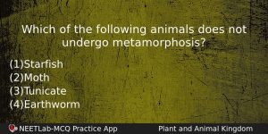 Which Of The Following Animals Does Not Undergo Metamorphosis Biology Question