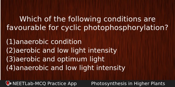 Which Of The Following Conditions Are Favourable For Cyclic Photophosphorylation Biology Question 