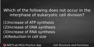 Which Of The Following Does Not Occur In The Interphase Biology Question