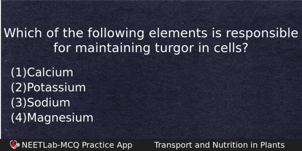 Which Of The Following Elements Is Responsible For Maintaining Turgor Biology Question 