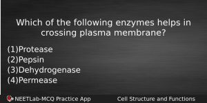 Which Of The Following Enzymes Helps In Crossing Plasma Membrane Biology Question