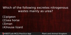 Which Of The Following Excretes Nitrogenous Wastes Mainly As Urea Biology Question