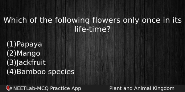 Which Of The Following Flowers Only Once In Its Lifetime Biology Question 