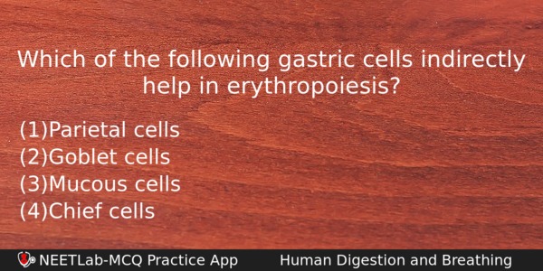 Which Of The Following Gastric Cells Indirectly Help In Erythropoiesis Biology Question 