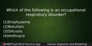 Which Of The Following Is An Occupational Respiratory Disorder Biology Question