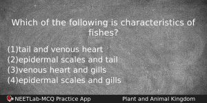 Which Of The Following Is Characteristics Of Fishes Biology Question