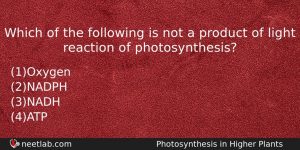 Which Of The Following Is Not A Product Of Light Biology Question
