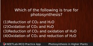 Which Of The Following Is True For Photosynthesis Biology Question
