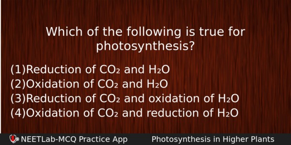 Which Of The Following Is True For Photosynthesis Biology Question 