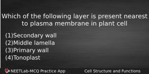 Which Of The Following Layer Is Present Nearest To Plasma Biology Question