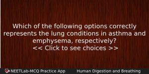 Which Of The Following Options Correctly Represents The Lung Conditions Biology Question