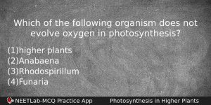 Which Of The Following Organism Does Not Evolve Oxygen In Biology Question