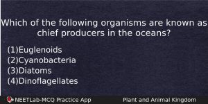 Which Of The Following Organisms Are Known As Chief Producers Biology Question