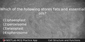Which Of The Following Stores Fats And Essential Oils Biology Question