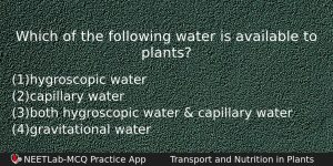 Which Of The Following Water Is Available To Plants Biology Question
