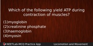 Which Of The Following Yield Atp During Contraction Of Muscles Biology Question