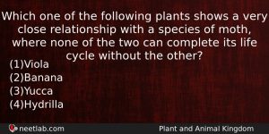 Which One Of The Following Plants Shows A Very Close Biology Question