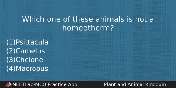 Which One Of These Animals Is Not A Homeotherm Biology Question 