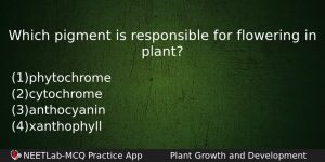 Which Pigment Is Responsible For Flowering In Plant Biology Question
